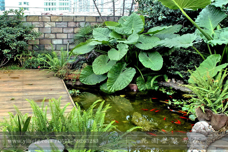 露臺(tái)花園｜露臺(tái)假山水溪景觀｜露臺(tái)木平臺(tái)景觀設(shè)計(jì)｜私家小露臺(tái)景觀綠化